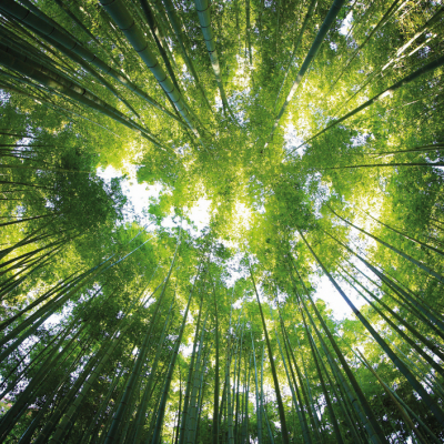 WE CARE ABOUT FUTURE GENERATIONS